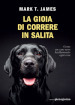 La gioia di correre in salita. Come un cane nero ha illuminato ogni cosa